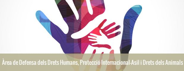 Àrea de Defensa dels Drets Humans, Protecció Internacional-Asil i Drets dels Animals