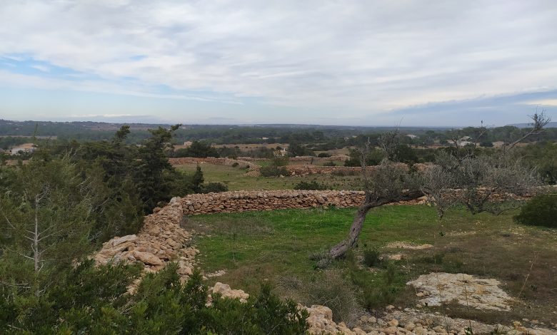 Imatge d'un paisatge rural pitiús